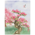 9ff47aef-2bda-408e-b9d2-9f0051c8c6c5